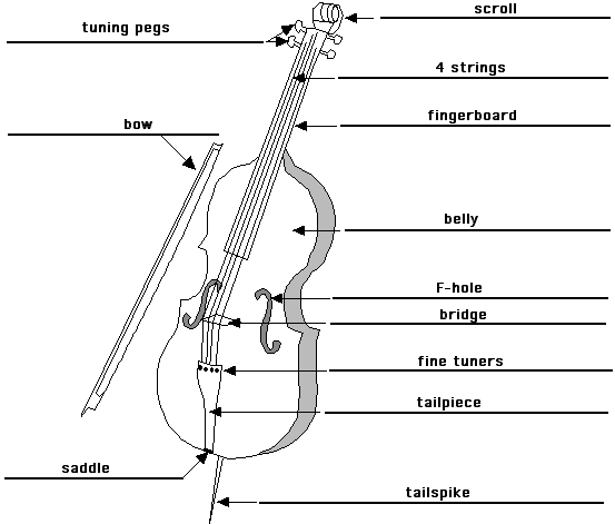 Parts of a Viola